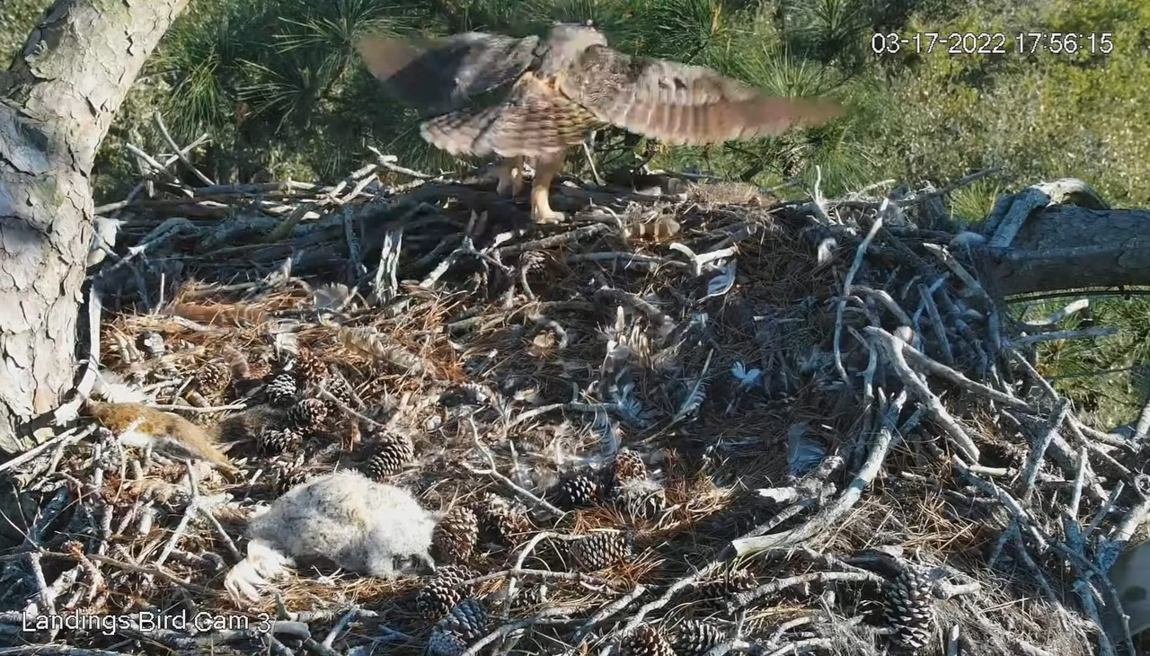 WhatsApp Image 2022-03-21 at 8.43.21 PM (4)