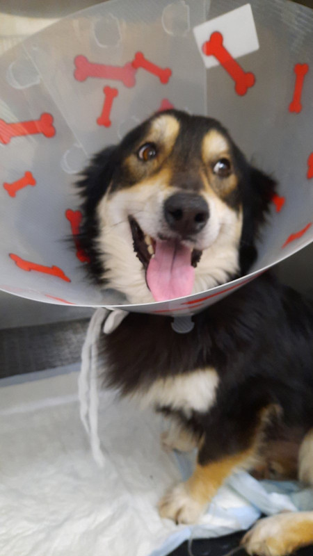 CA69BF1E-CAF8-4204-ACDB-B19DC057ACB0