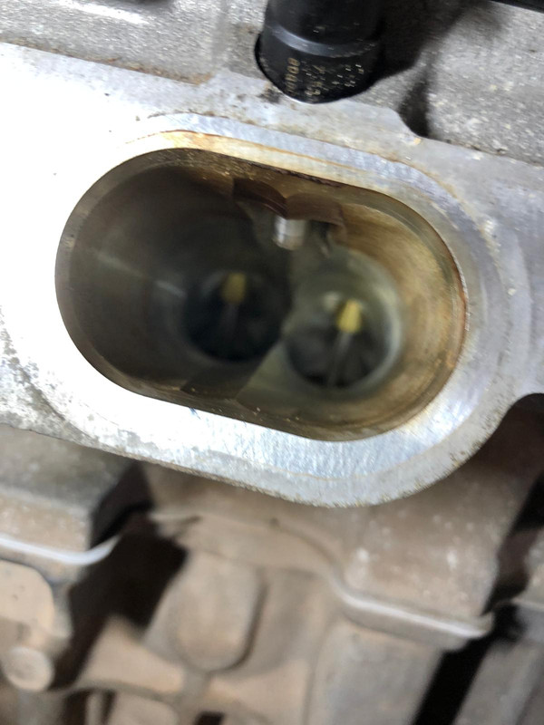 WhatsApp Image 2019-09-28 at 20.13.55(1)