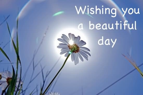 good-morning-Wishing-You-A-Beautiful-Day-Flowers-Beautiful-Image.jpg