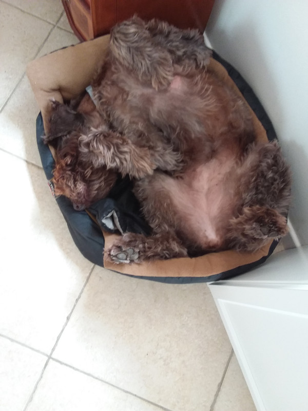 [Image: 20230708-165530.jpg]