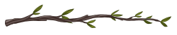 Divider-Branch1.png