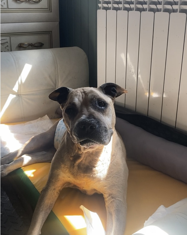 4A0ABC2B-AEED-4A46-9897-B3B7BF162812