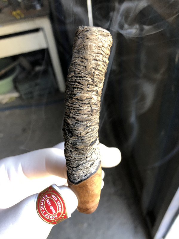 80F4B33D-417A-47E8-ADD5-A63B14915828