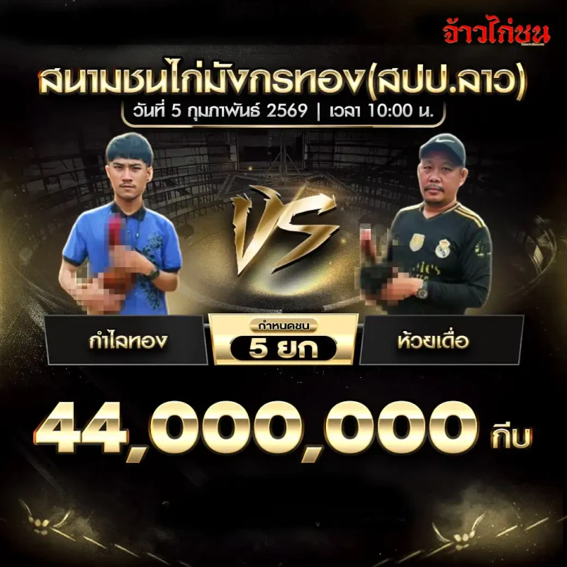 โปรแกรมไก่ชน คู่เด่น กำไลทอง พบ ห้วยเดื่อ สนามชนไก่น้องมีชน่าโชค (สปป.ลาว) วันที่ 5 กุมภาพันธ์ 2569 เงินชิง 44,000,000 กีบ กำหนดชน 5 ยก
