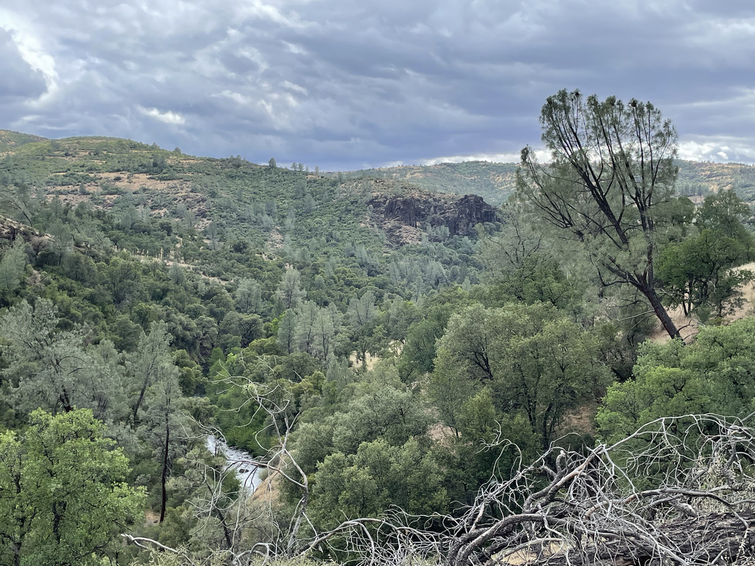 C817F52B-4C77-4261-9928-1E4FA8229218