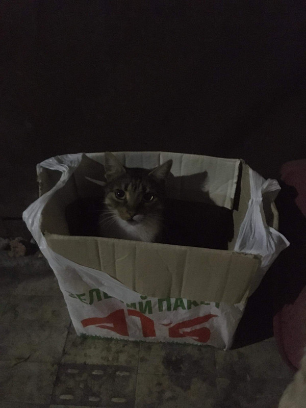 received_745089686079076