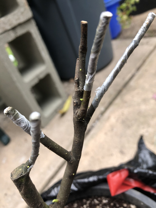 2531248D-06A7-4DAA-B59E-615B0F924AA3