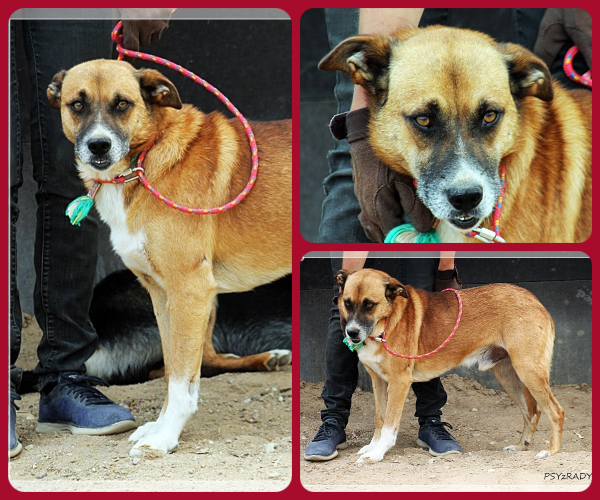 BeFunky-collage (20)