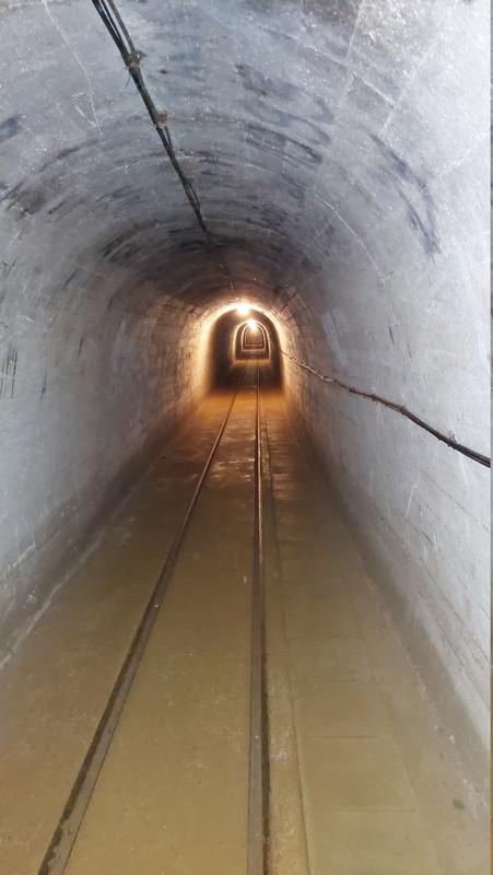 03 17 20250619 104421 Tomasz K