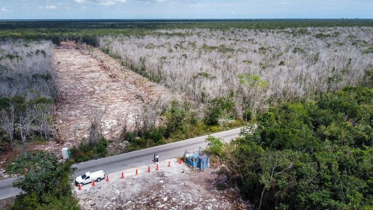 Semarnat exhibe a críticos del Tren Maya y los llama “pseudoambientalistas”