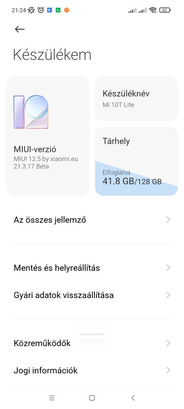 Screenshot_2021-06-17-21-24-28-200_com.android.settings