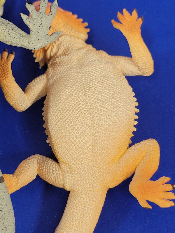 Toymany reptiles set!
