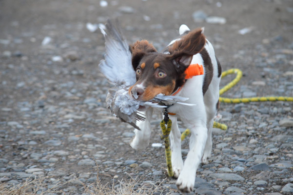 AD181FE5-D2E8-40C1-9F22-7541222F2E37