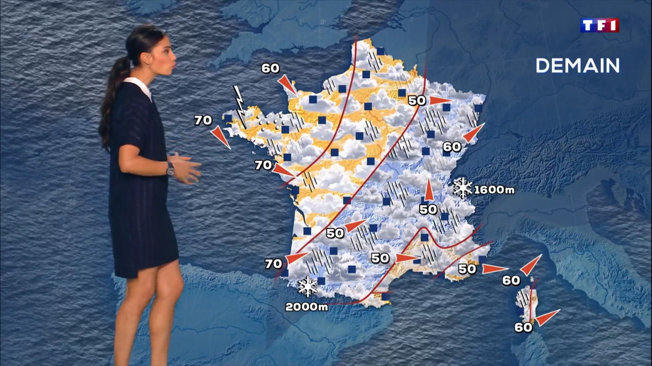 2021-12-03_20_00_TF1_Le-20h.mp4_snapshot_00.01.45.862