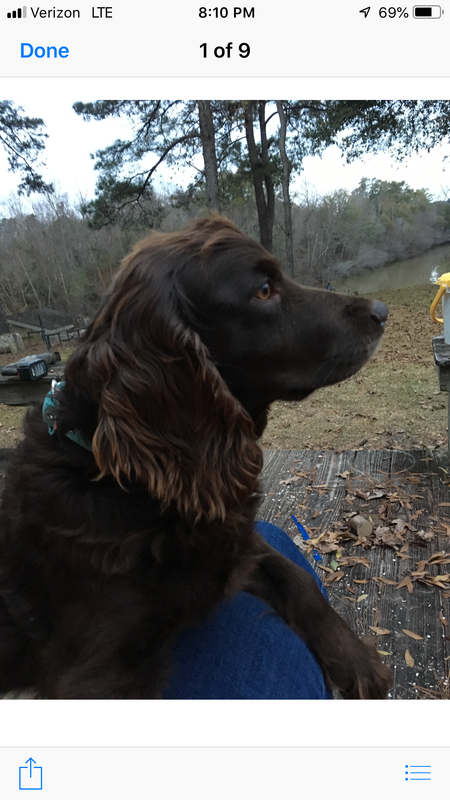 85593465-C371-4AB7-B139-ACDFD28A9056