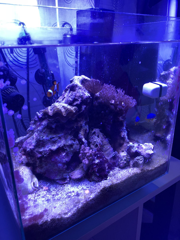 E92ED4AF-8ABD-4EB6-9200-ECF924450BA9