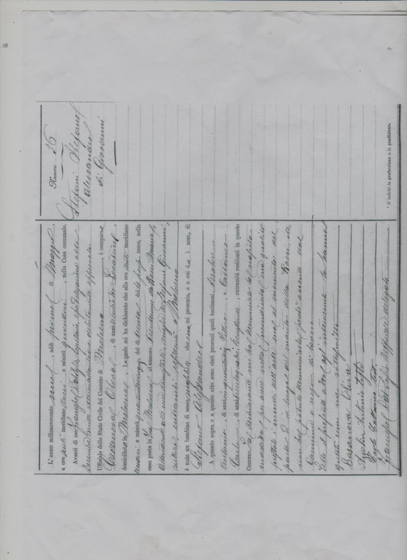 Image (15)