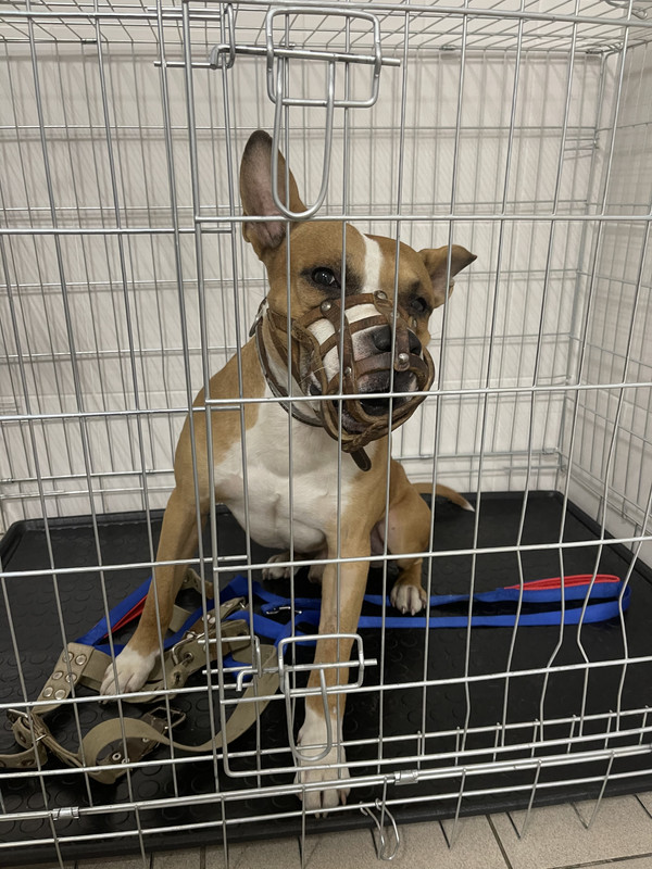 DBA67DCE-D64B-47A1-845D-BDBF2DDEA881