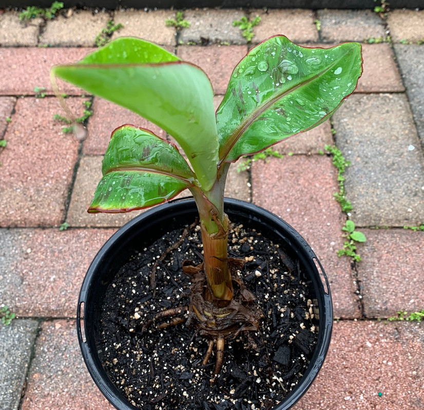 B9895DEC-E60E-4870-9354-90DCE6CD730E