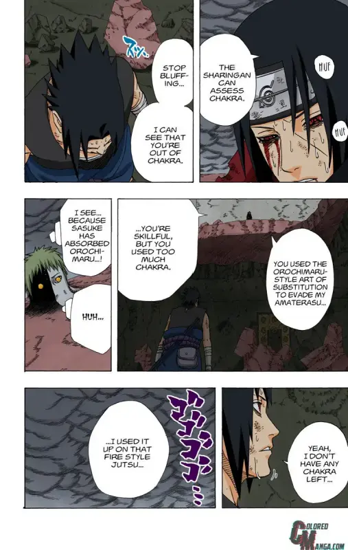 12356816_760_1200_86616