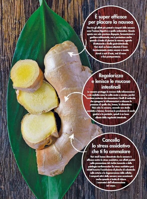 Alim Nat Giu 2021 (4)