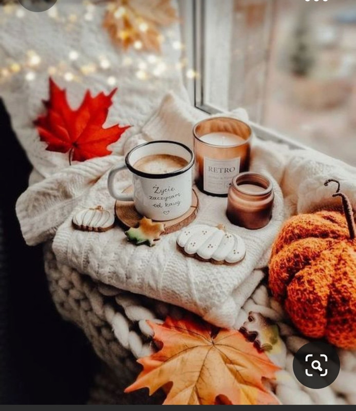 Screenshot_20231008_213626_Pinterest