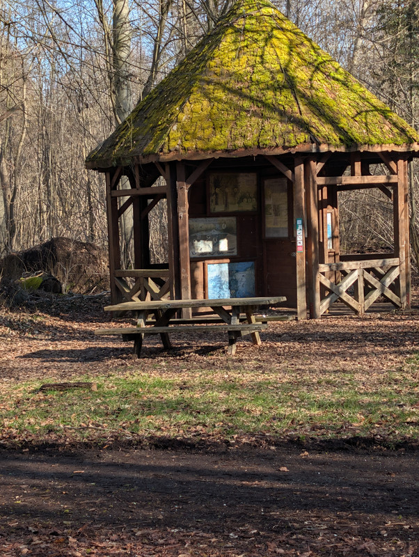 PXL 20260207 131805873