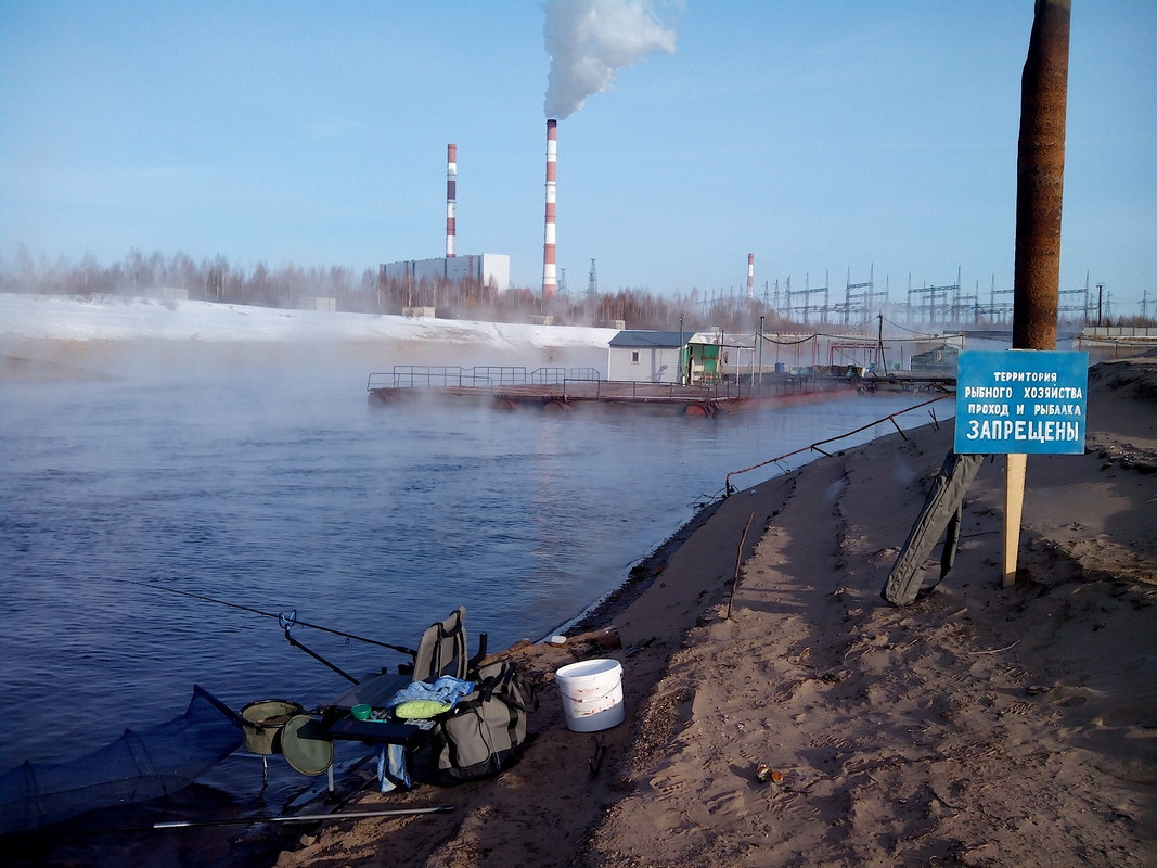 Добрянка 18.03.15 01