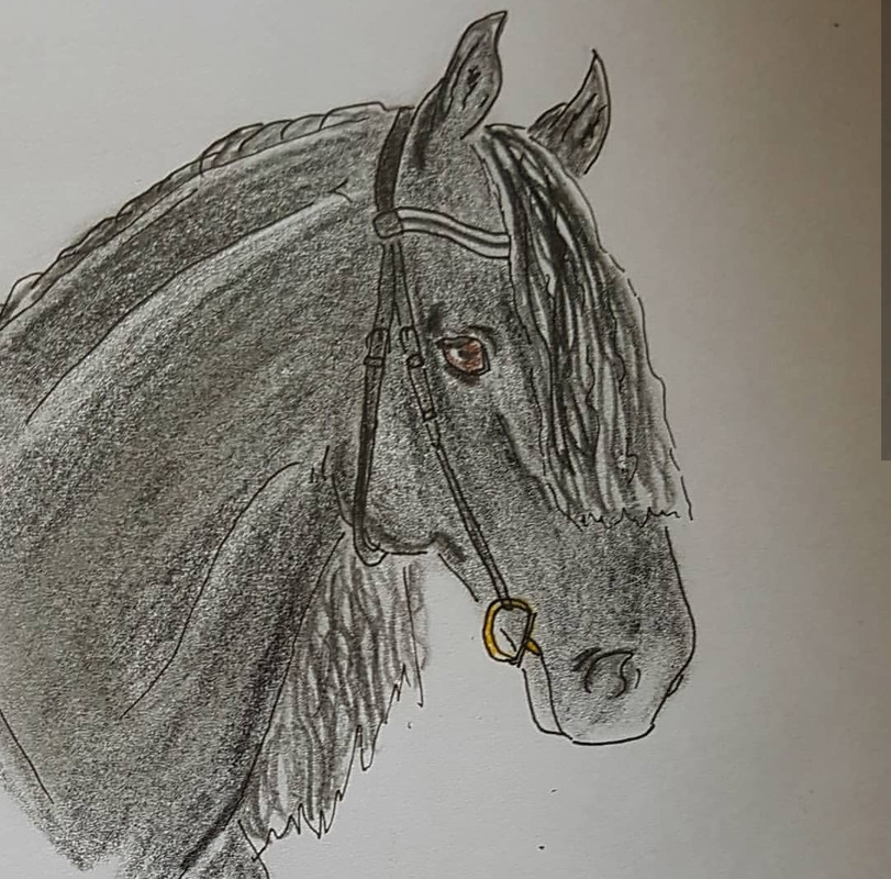 © Onnenkuja, entinen omistaja