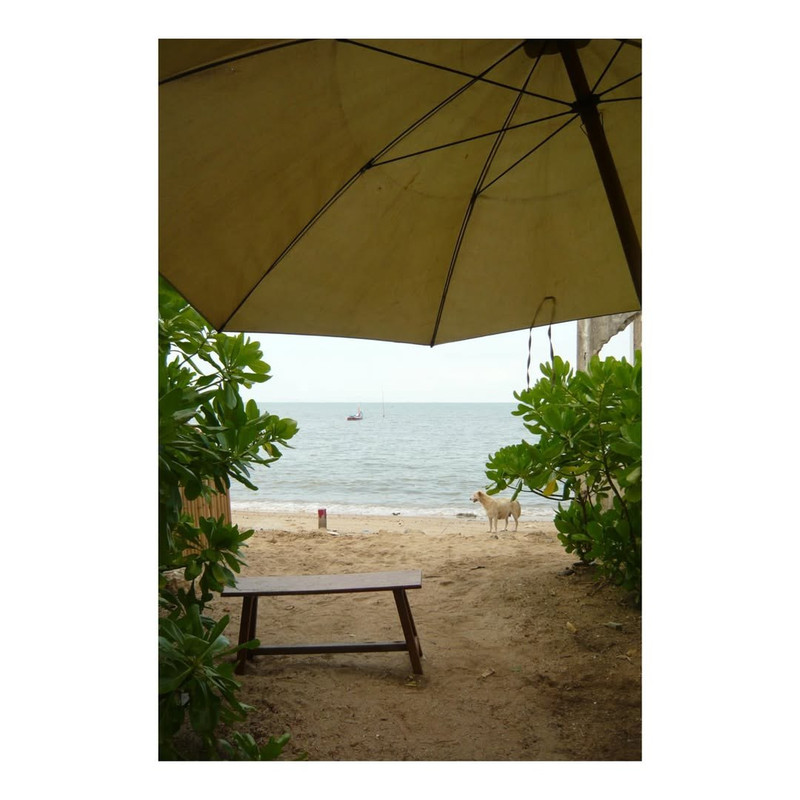 photo 2 2026 01 16 22 16 38