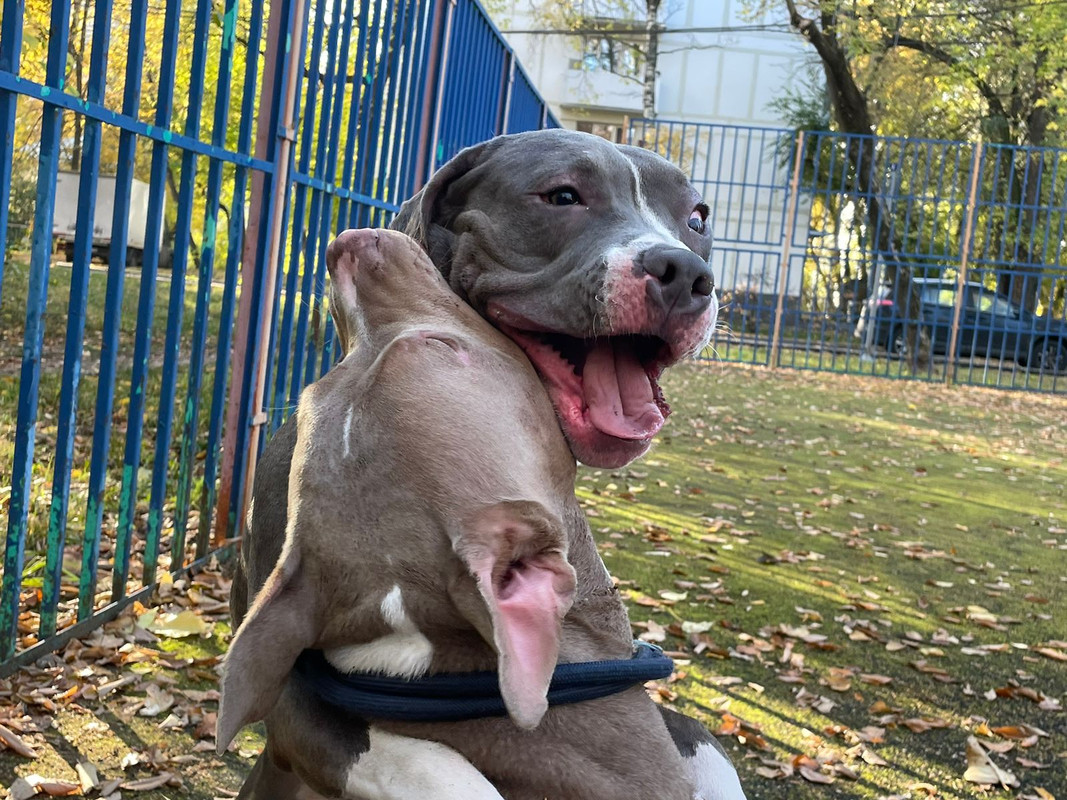 7DA8535B-667A-43A6-9D93-6753DE842AB6