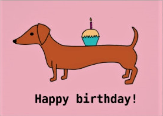 [Image: Anniversaire-teckel-28.jpg]