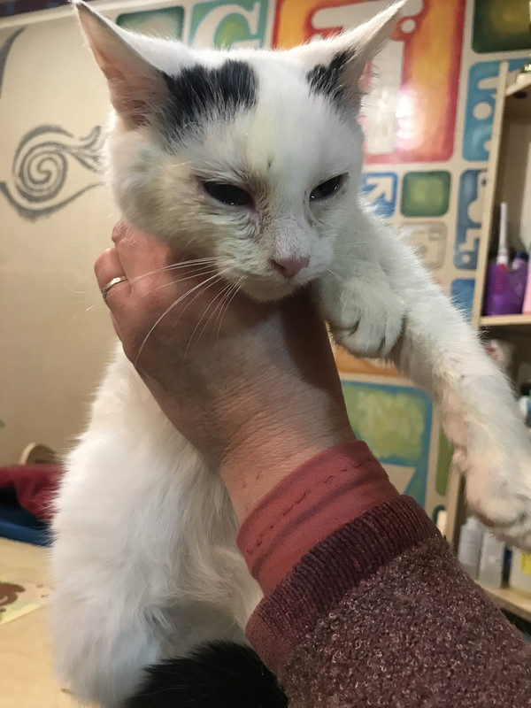 25C47A30-50F1-458A-AEC5-26BA1DB243F6