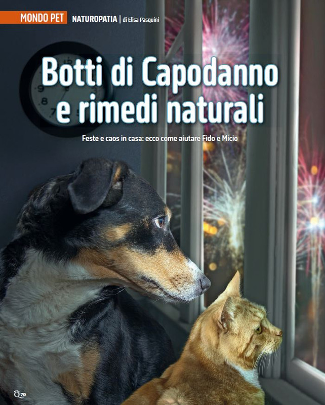 QuattroZampe Dic 2024-Gen 2025 (5)