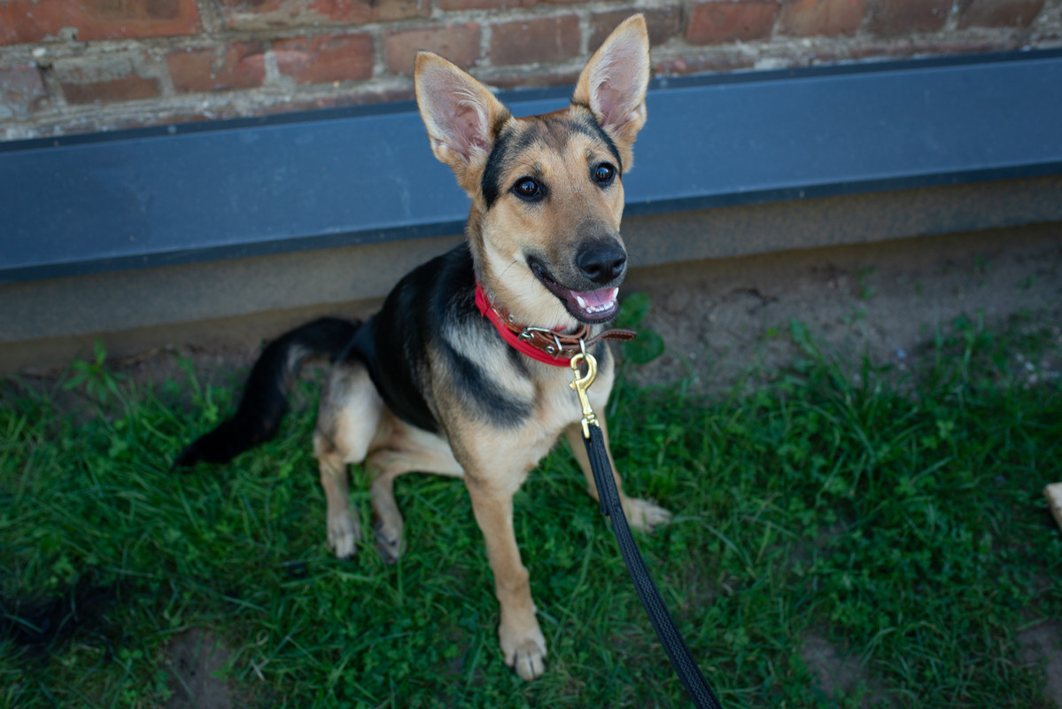 ABE6F7A1-58B5-4F76-8C87-C388047DF388