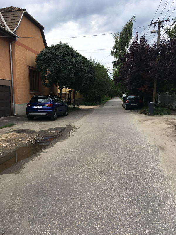 Kép
