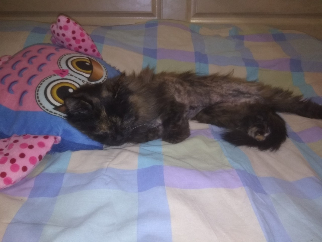 изображение_viber_2019-09-06_19-41-30