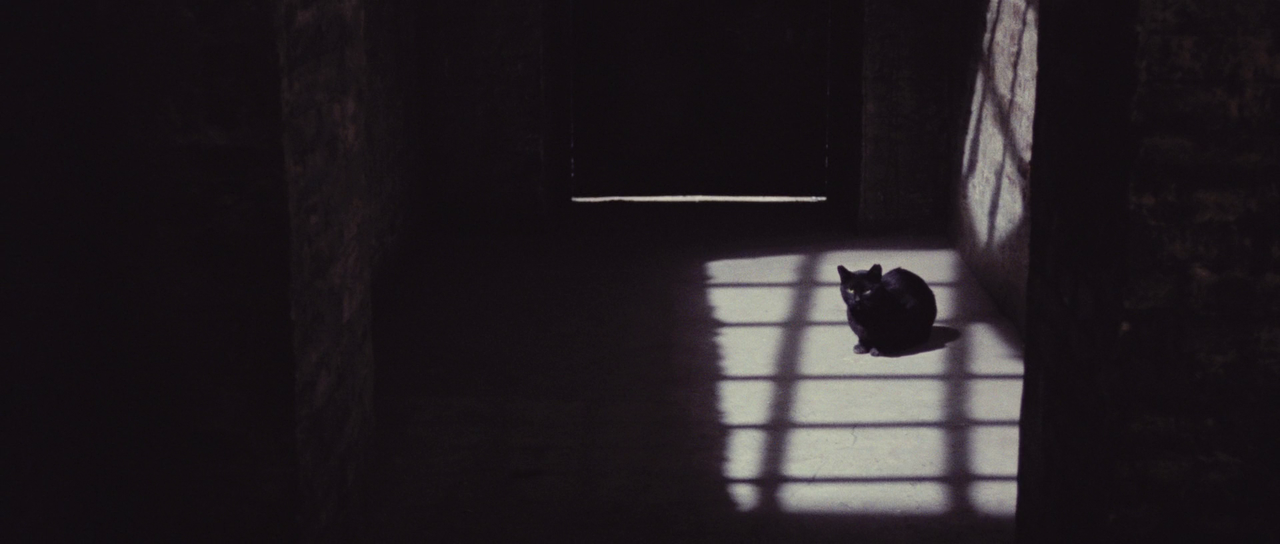 [Immagine: vlcsnap-2022-12-13-21h37m41s926.png]