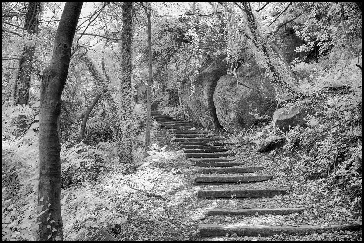 _DSC5067_00001_final_silver_efex_24_small