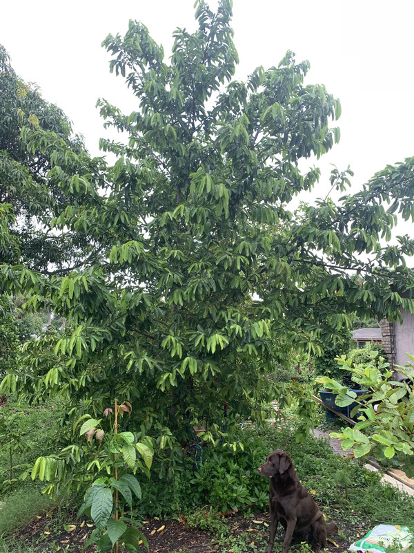 1191F8A5-4284-4910-B82A-BFCC2FF4DBCC