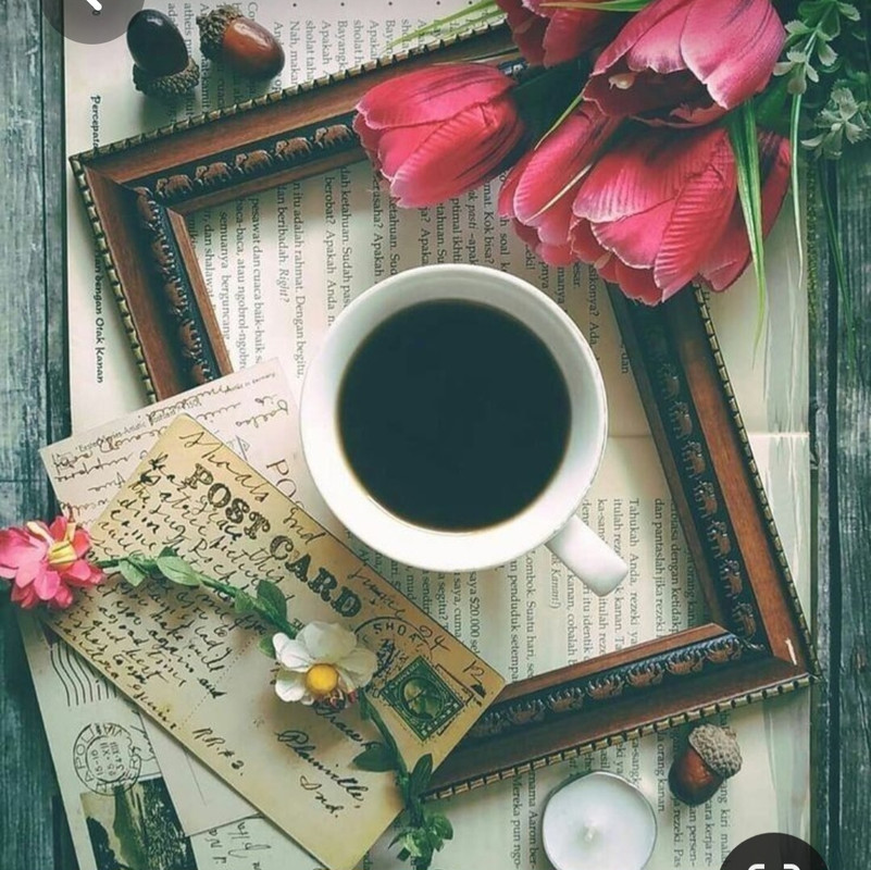 Screenshot_20230409_212311_Pinterest