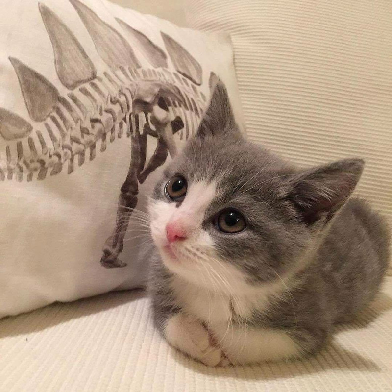 D7997759-1D91-4A61-9FCB-3FA3A43287B2