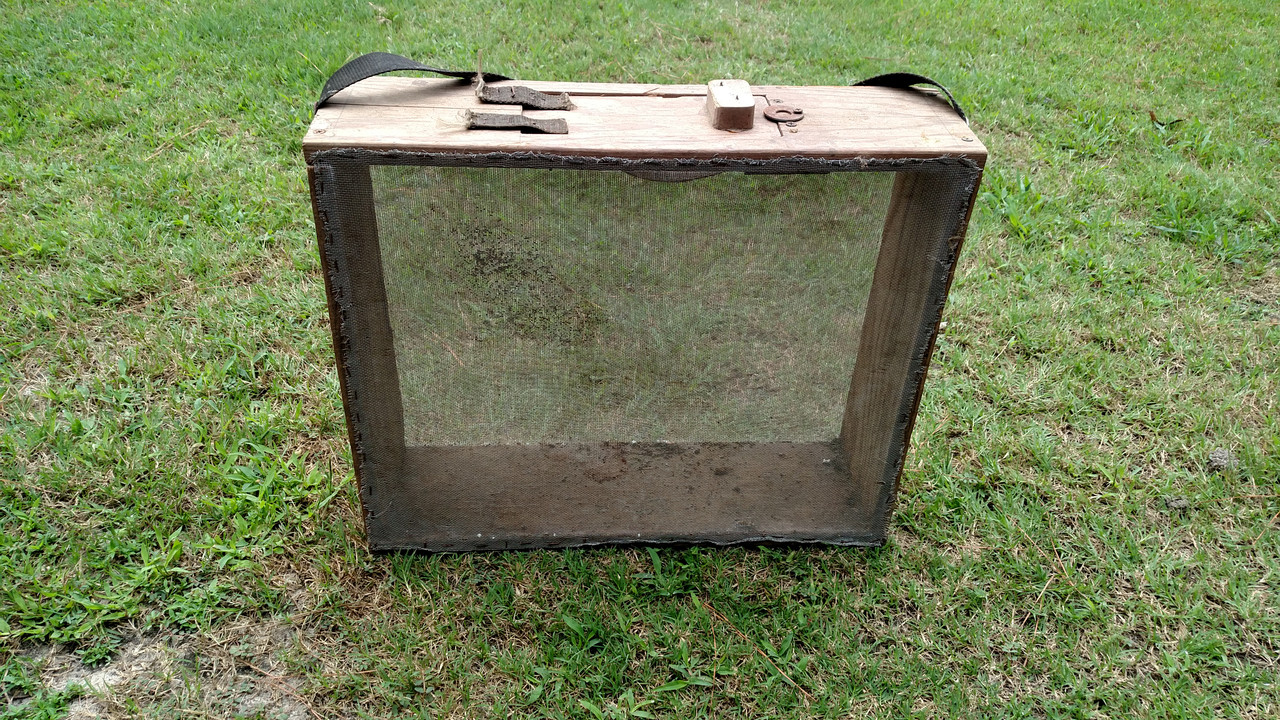 IMG_20190610_121203860