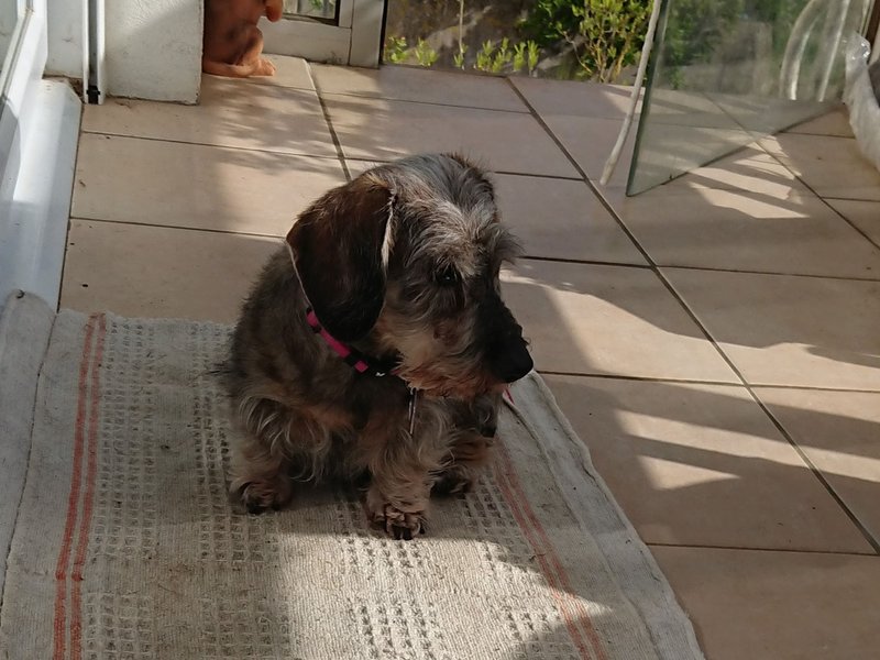 [Image: DSC-2585.jpg]