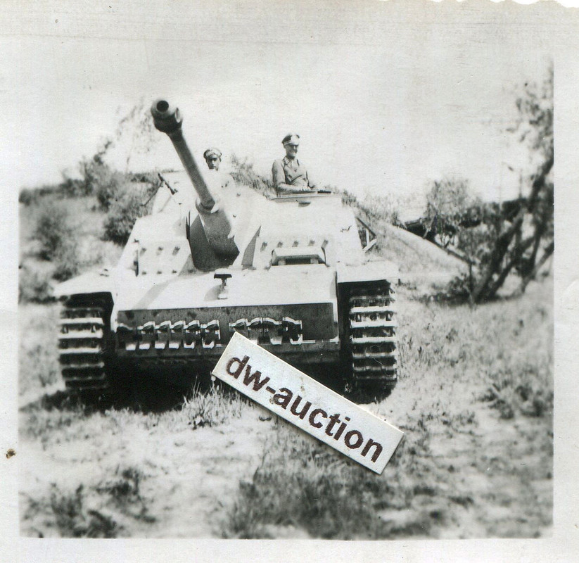 Sturmgeschütz Langrohr mit Kommandant (2)