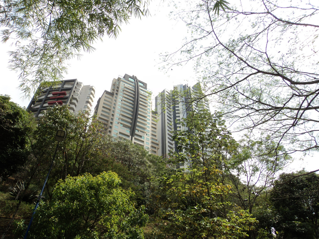 Henry-Ortiz-Utima-edificios-Bucaramanga-6