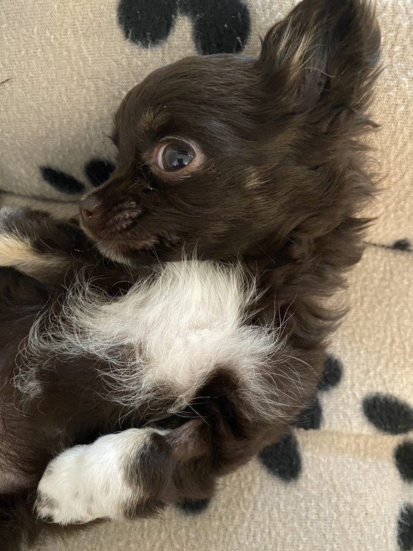 CC0A98F5-769C-42DB-8885-3452BC6A4377