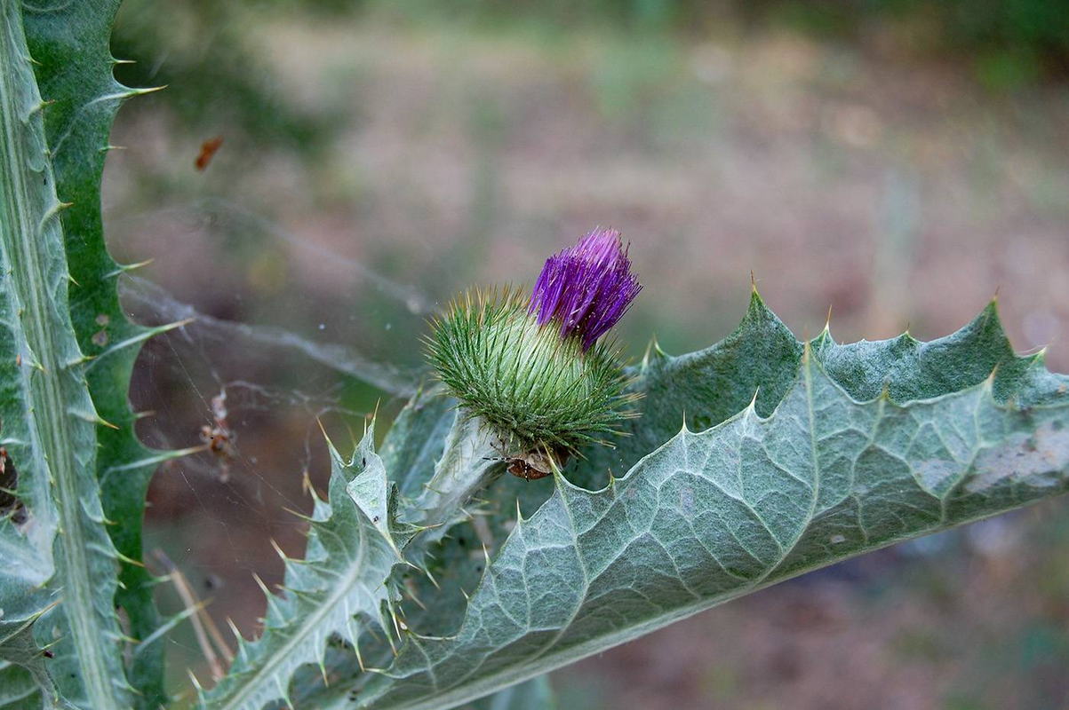 изображение_2024-01-16_092025097