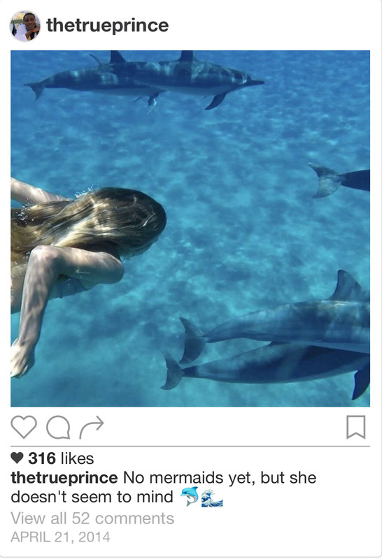A screenshot of Blaise's post featuring Luna swimming with dolphins.